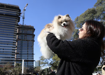Dónde alquilar en Buenos Aires si tenés mascota: barrios, precios y datos del mercado